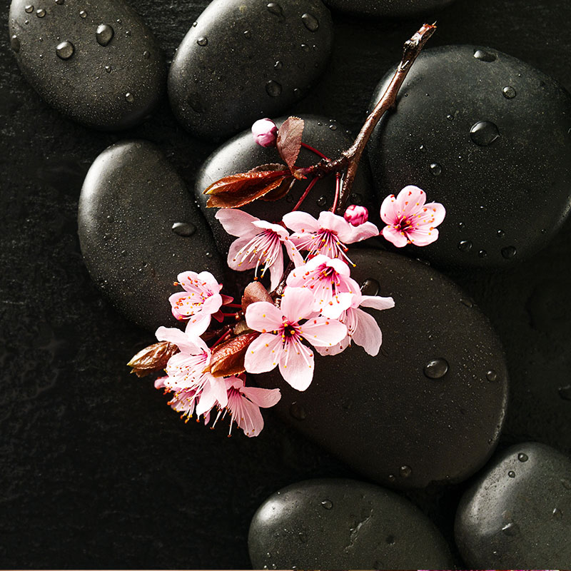 My Image 11